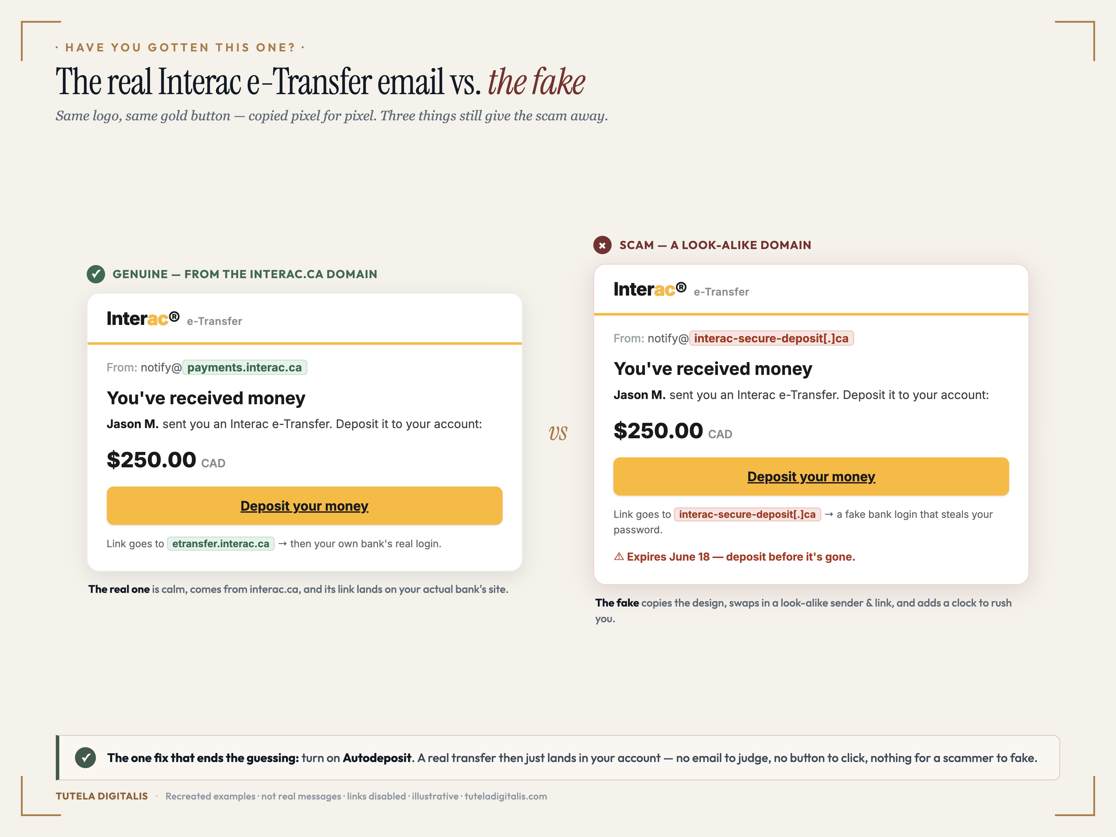 Side-by-side comparison of two Interac e-Transfer emails. Both show the Interac logo, the heading 'You've received money', '$250.00 CAD', and an identical gold 'Deposit your money' button. The genuine email on the left is from notify@payments.interac.ca and its link goes to etransfer.interac.ca then your own bank. The fake on the right is from a look-alike address, notify@interac-secure-deposit[.]ca, its link goes to the same look-alike domain — a fake bank login that steals your password — and it adds 'Expires June 18, deposit before it's gone' to rush you. A footer notes the real fix: turn on Autodeposit so a genuine transfer just lands in your account with no email to judge.